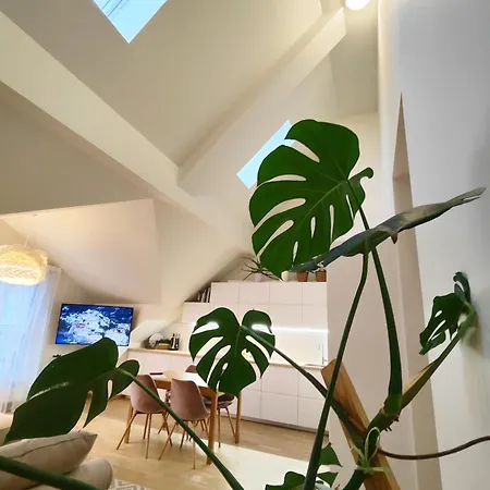 Wide & Light - Self Check In Apartment *